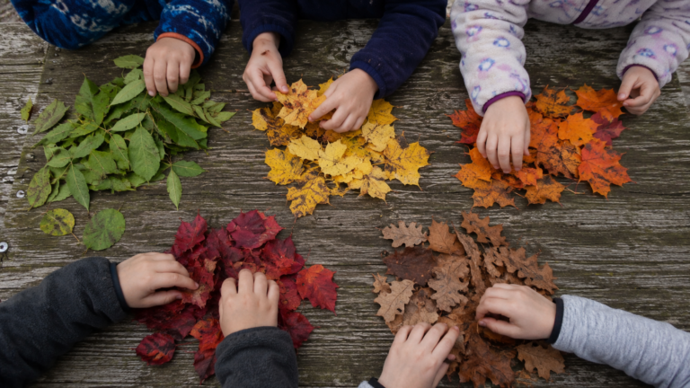 25 Easy Fall Outdoor Activities for Kids