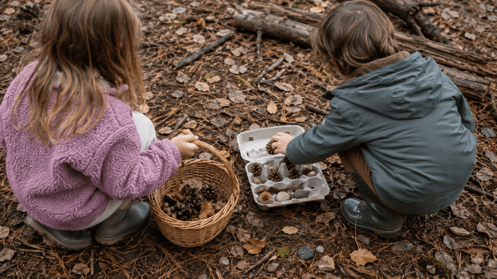 nature activities for kids nature collection