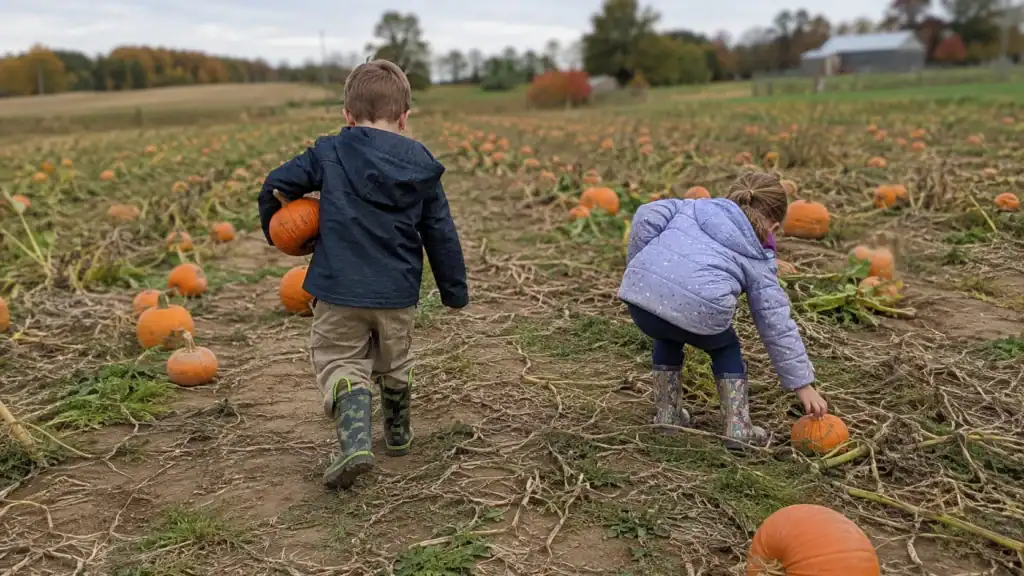 Fall bucket list for kids outdoor activities all weather