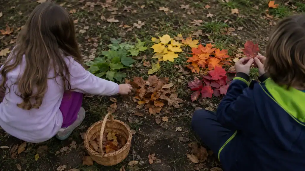 Leaf activities for kids sorting colorful fall leaves by color outdoors
